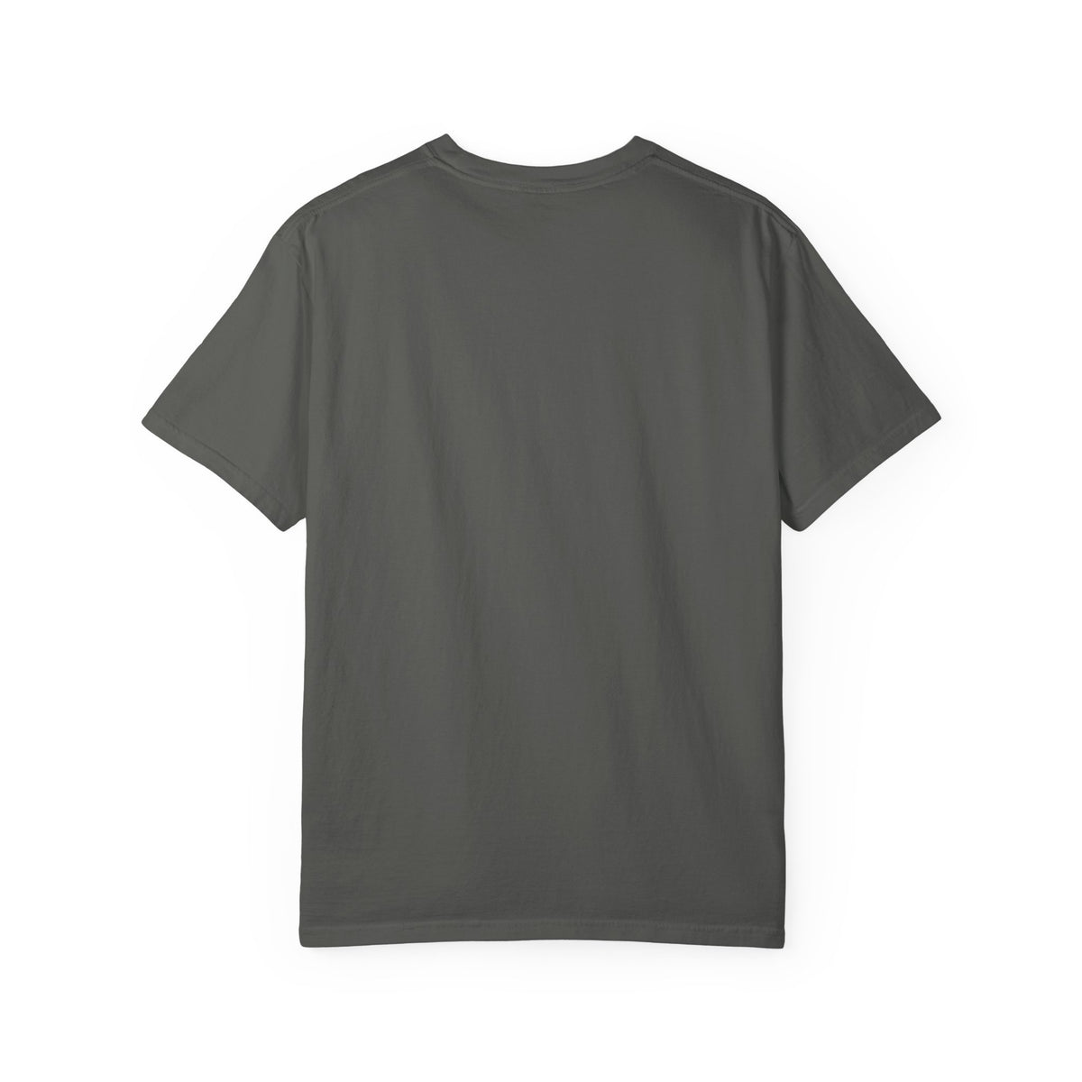 Hogwarts Vintage T-Shirt