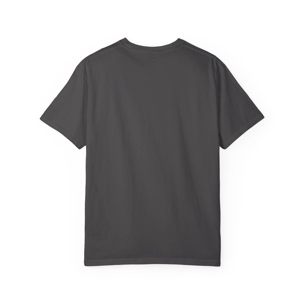 Hogwarts Vintage T-Shirt